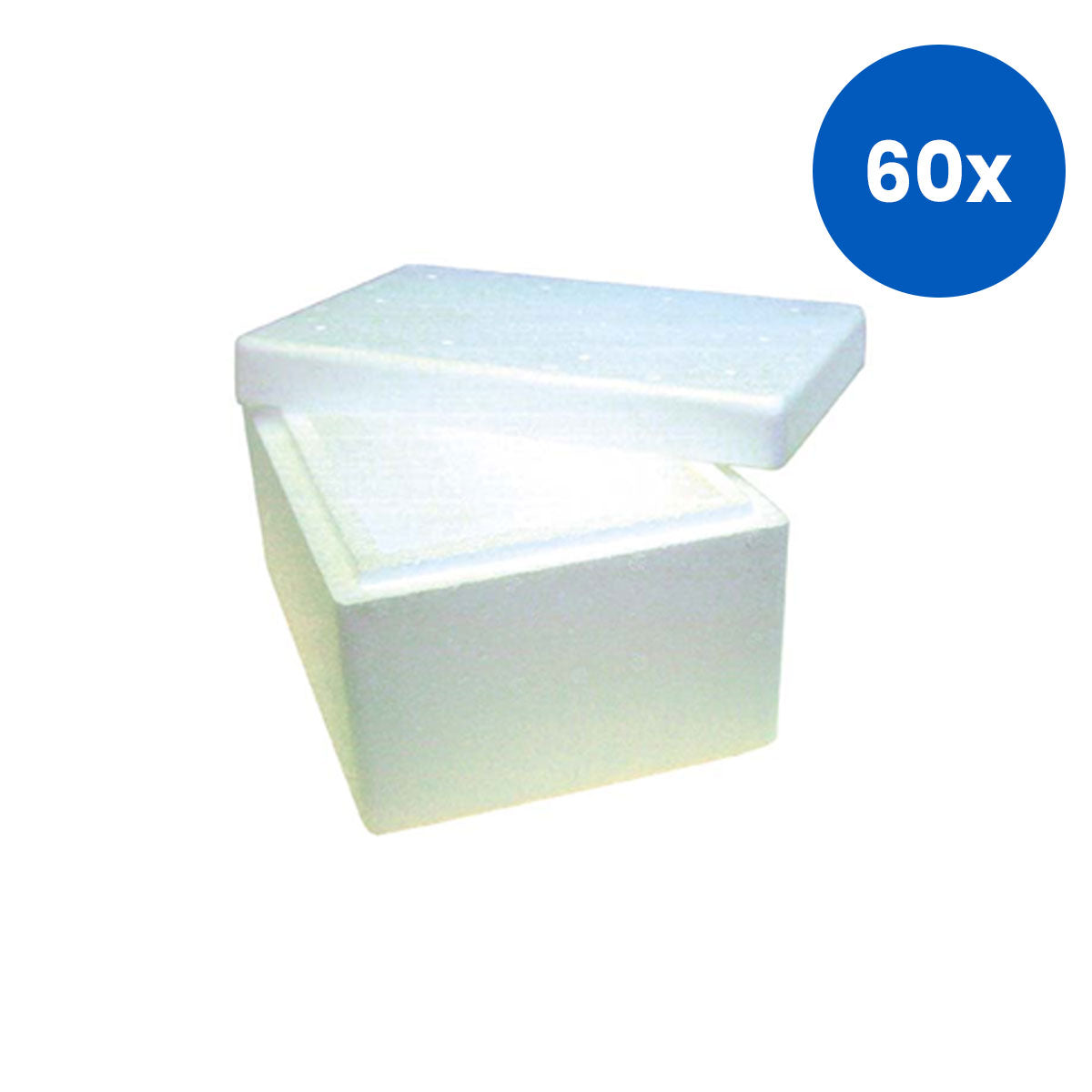 Livingstone Foam Cooler Box  with Lid 2 Litres 230 x 160 x 120 mm - White x60