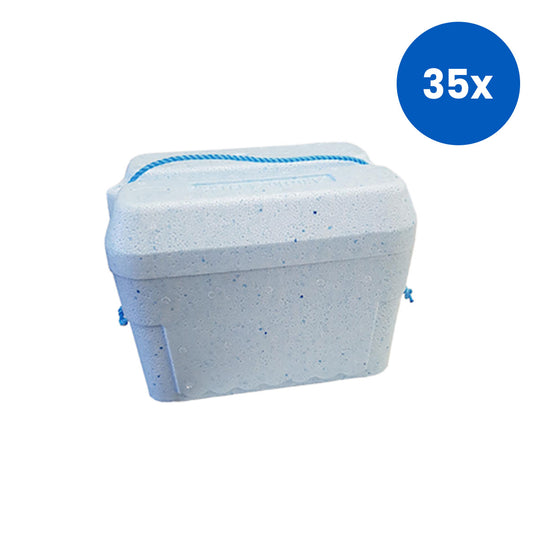 Livingstone Foam Cooler Box 4 Litres with Lid 270 x 190 x 190 mm - White x35