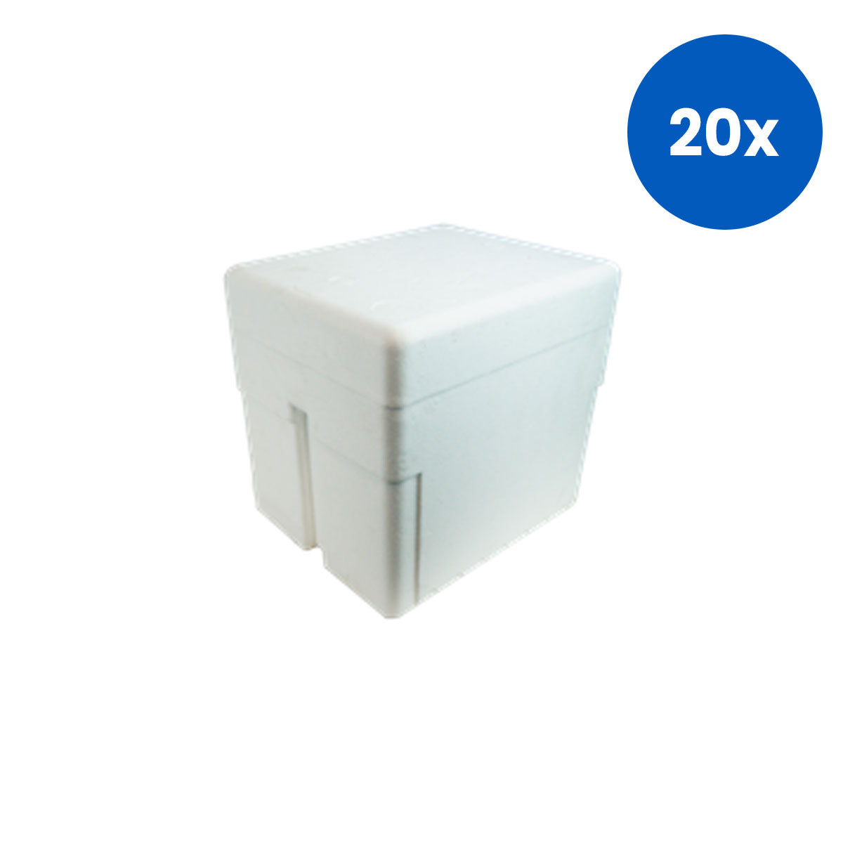 Livingstone Foam Cooler Box, 10 Litres 305x250x285 mm with Secure Lid – White x20