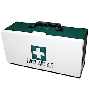 Livingstone First Aid Empty Plastic Case Medium 28.2x13x10.2CM Recyclable - Green x20