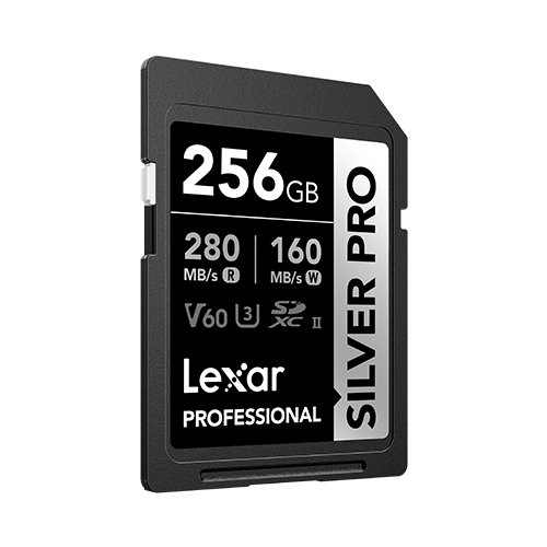 Lexar Professional Silver Pro SDXC UHS-II Card 256 GB