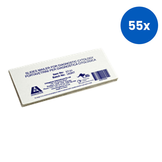 Livingstone Basic Level Prepared Slide Cucurbita Stem Sieve Tubes Longitudinal Section - White x55