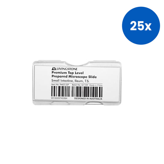 Livingstone Premium Top Level Prepared Slide Small Intestine Ileum Transverse Section - White x25