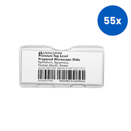 Livingstone Premium Top Level Prepared Slide Epithelium Squamous Human Mouth Smear - White x55