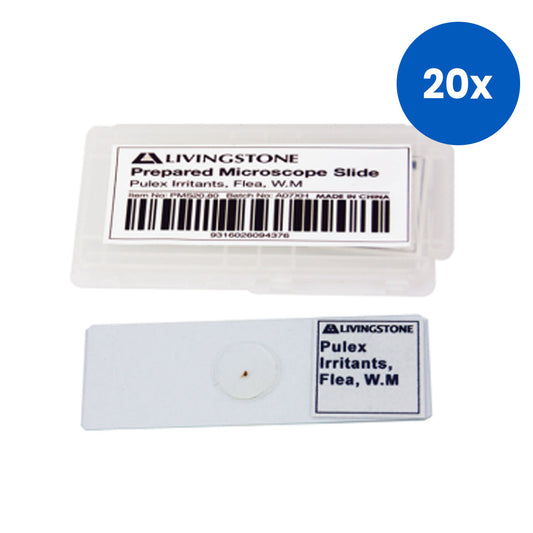 Livingstone Basic Level Prepared Slide Pulex Irritants Whole Mount - White x20