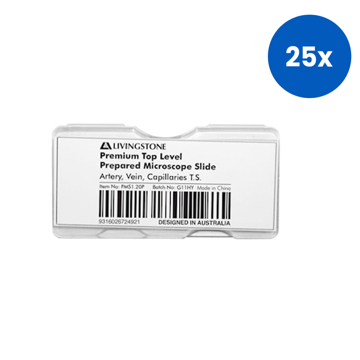 Livingstone Premium Top Level Prepared Slide Artery Vein  Capillaries Transverse Section - White x25