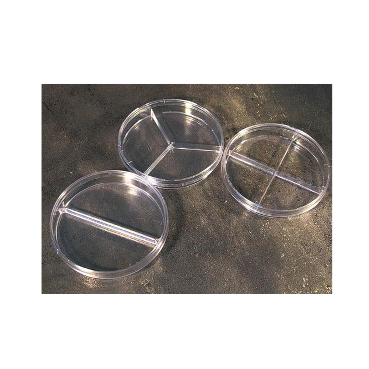 Aptaca Petri Dish with 3 Vents and 3 Sectors 90mm with Lid Sterile Recyclable Polystyrene 20/Bag - Clear x65
