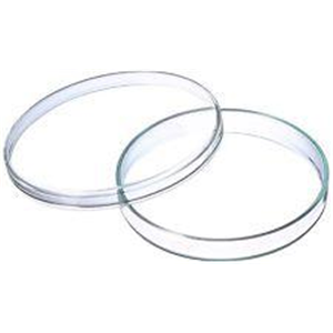Livingstone Petri Dish with Lid 55-60mm Recyclable Polystyrene 10 Pieces/Bag - White x110