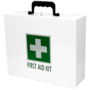 Livingstone Unbranded Durable Reflective Metal First Aid Storage Case for Emergency Supplies Large Size – White x10