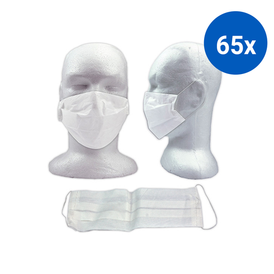 Livingstone Lightweight Face Mask for Non-Therapeutic Use with Elastic Earloop 2-Ply 100/Bx - White x65