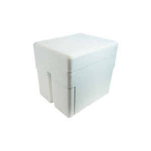 Livingstone Foam Cooler Box, 10 Litres 305x250x285 mm with Secure Lid – White x20