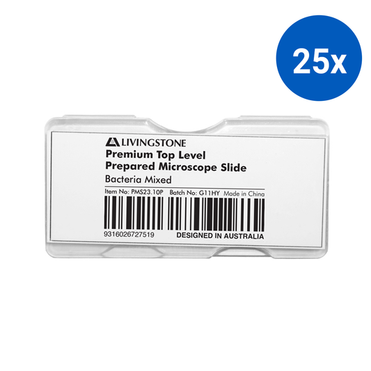 Livingstone Premium Top Level Prepared Slide Bacteria Mixed - Clear x25