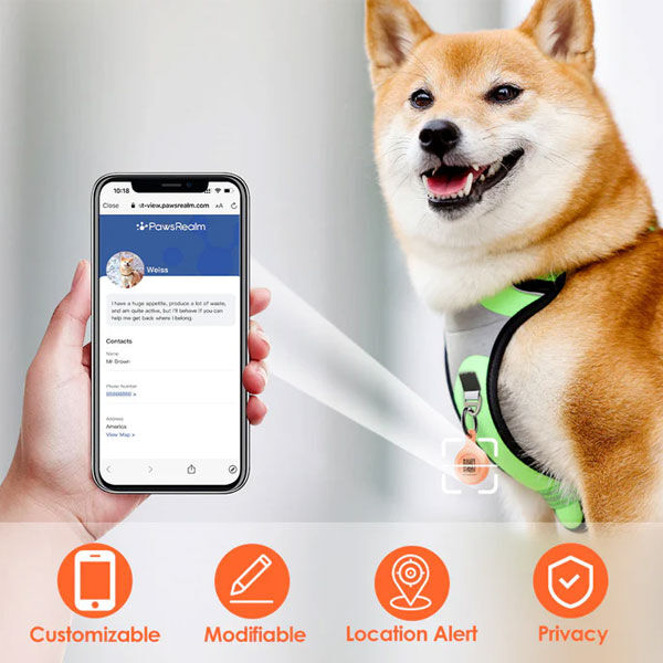 PawView Smart AirTag Holder - Mint Green