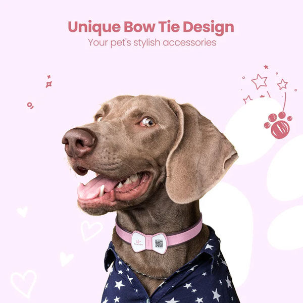 Pawview Bow Anti-Loss Smart Pet ID Tag with QR Code - Red