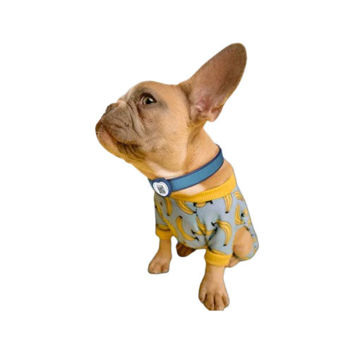 PawView Heart Anti-Loss Smart Pet ID Tag with QR Code - Blue