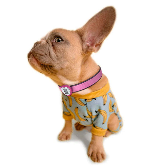 PawView Heart Anti-Loss Smart Pet ID Tag with QR Code - Rose Red