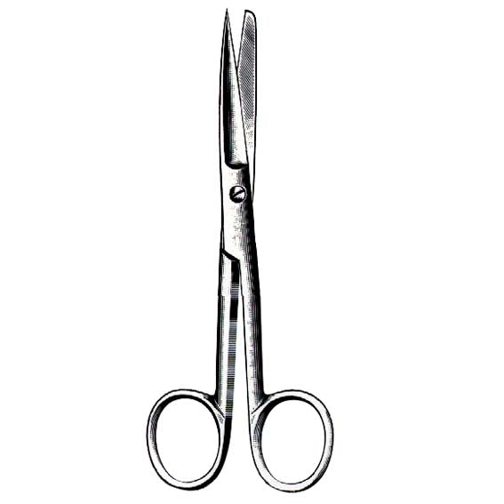 Livingstone Nurses Surgical Dissecting Scissors 15cm Sharp/Blunt Straight - Silver x120