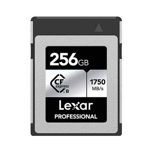 Lexar Professional CFexpress Type B Card 256 GB - Silver