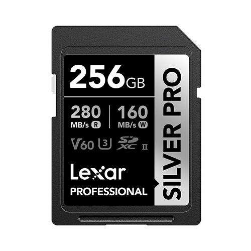 Lexar Professional Silver Pro SDXC UHS-II Card 256 GB