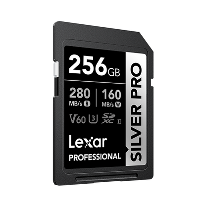 Lexar Professional Silver Pro SDXC UHS-II Card 256 GB